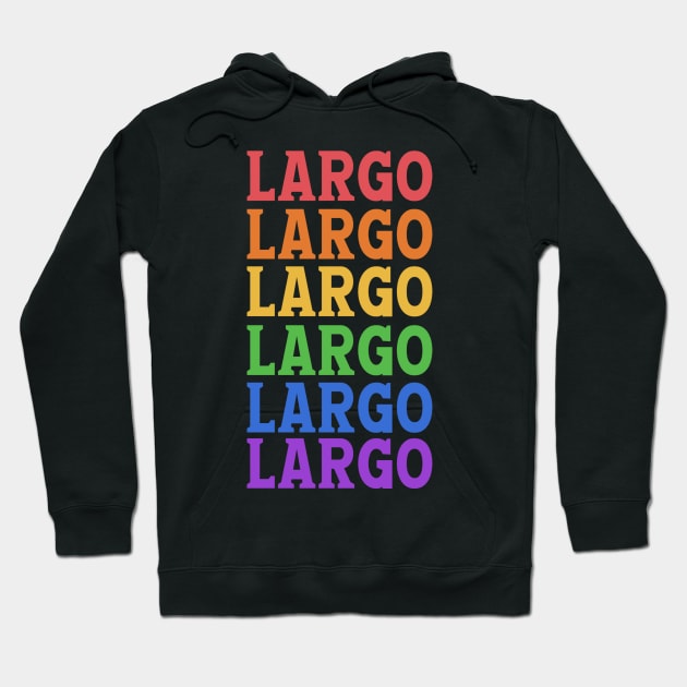 LARGO EAGLE LAKE Hoodie by OlkiaArt